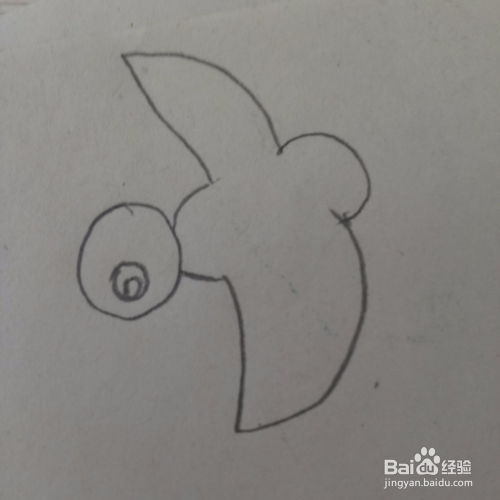 简笔画大全之小鸟的画法