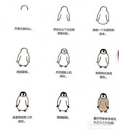 小动物简笔画教程