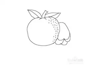 美术简笔画橘子