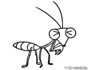 卡通螳螂简笔画