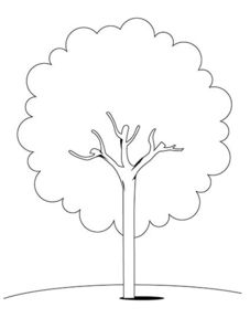 timthumb