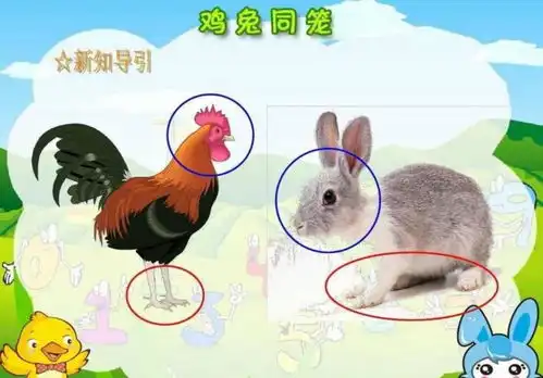 鸡兔同笼课本里消失,是向西方快乐教育看齐,还是将两极化