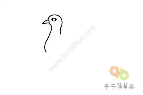 火鸡简笔画教程