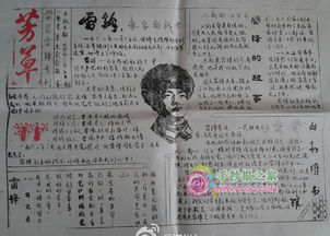 雷锋芳草报