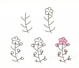 大开眼界以小树杈为基础,教你画各种植物简笔画