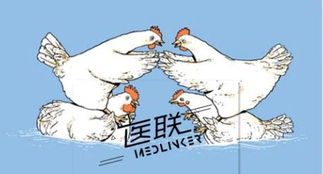 护士长vs科主任母鸡pk公鸡谁能赢