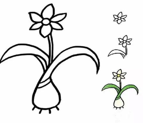 简笔画之花朵篇,看完后,你也能画得栩栩如生