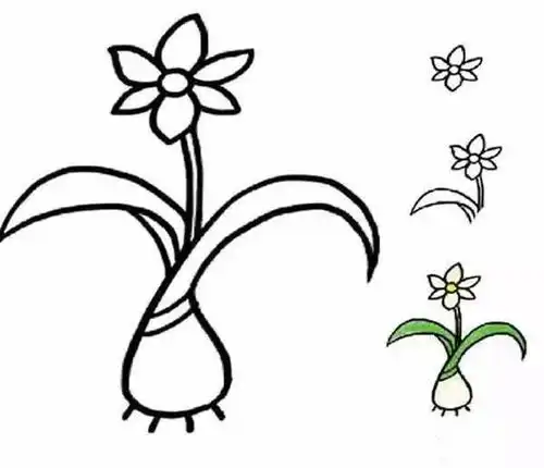 简笔画之花朵篇,看完后,你也能画得栩栩如生