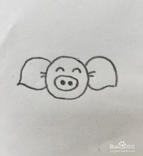 可爱猪的简笔画教程