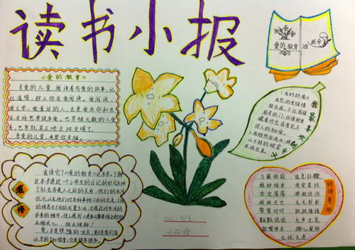 读书手抄报图片和内容