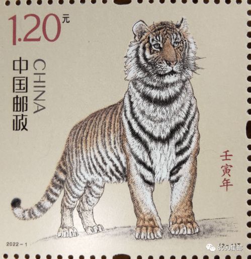壬寅年首日邮票面值,小本破发,大版不足百,中白建交会是何种景象