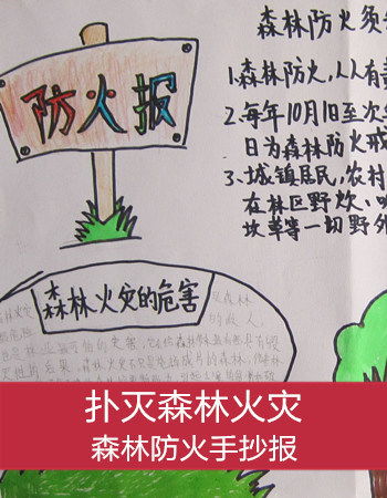 森林防火手抄报大全森林防火手抄报内容