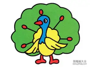 彩色美丽的开屏孔雀简笔画教程素描