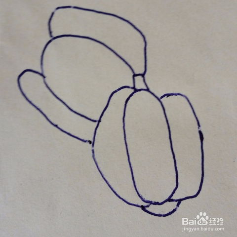 蔬菜简笔画菜椒怎么画