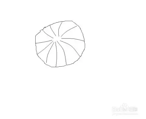 剥开的桔子简笔画