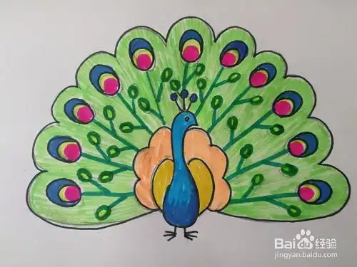孔雀的简笔画带颜色步骤