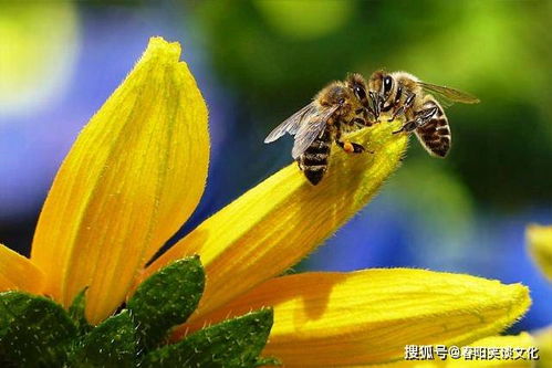 深入人心的经典说说,句句有内涵,值得细细品读