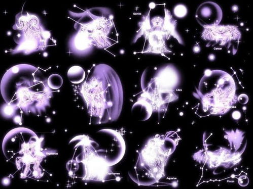 十二星座女孩版