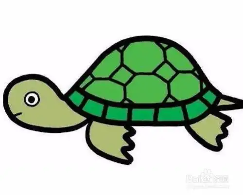 乌龟把吃的吐了怎么办