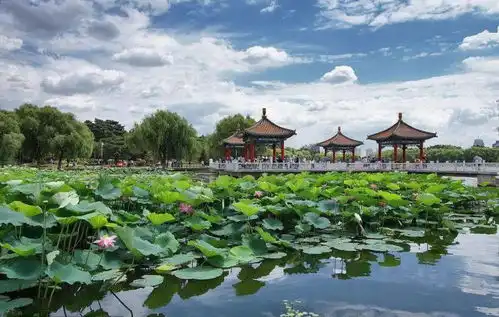 居于自然之上内外双公园的生活是一种什么体验