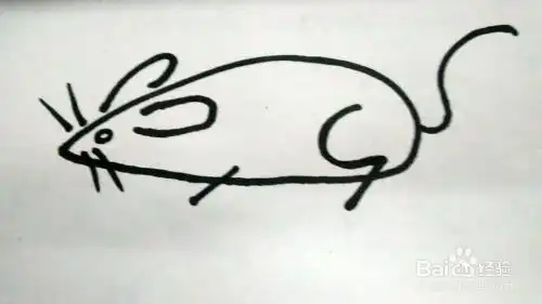 简笔画老鼠的几种画法