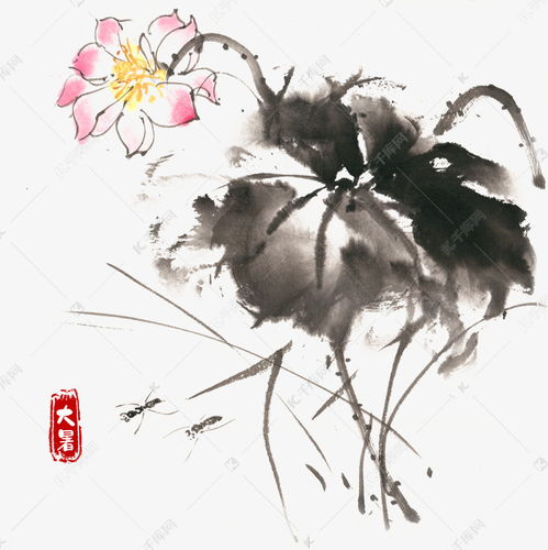 大暑荷花与昆虫素材图片免费下载千库网
