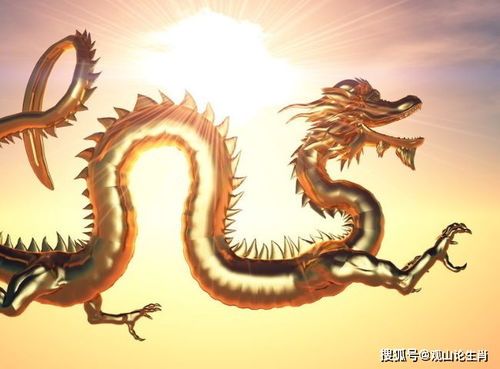 龙龙龙12月初要小心什么事情财运究竟何去何从,你知道吗