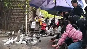 谈一下杨浦公园的大象滑滑梯