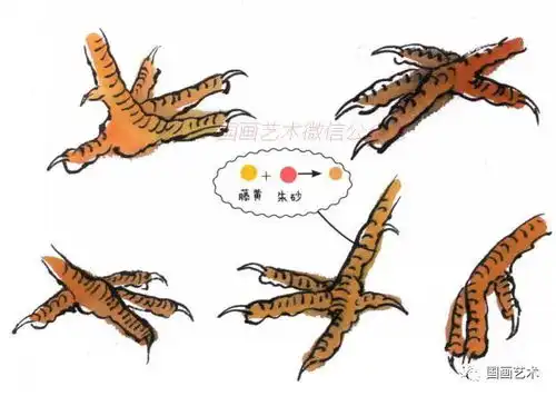 图文教程写意画鸡示范