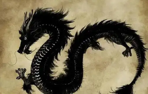 河南千年古墓现中华第一龙,龙虎相伴墓主人,距今6500年