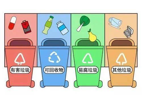 垃圾分类知多少