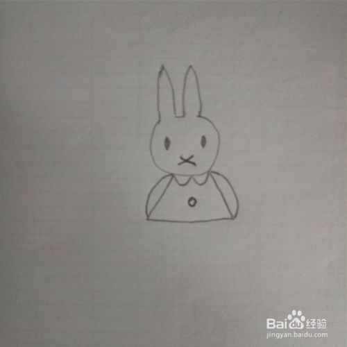 兔米菲的简笔画