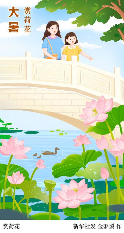 图表插画二十四节气大暑赏荷花