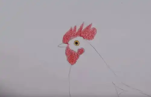 教程超详细步骤,教你用彩铅画一只大公鸡