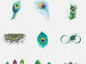 卡通手绘复古彩色羽毛孔雀羽毛png素材图片模板下载8.11mb其他大全生活工作