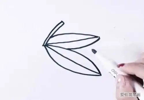 橘子简笔画