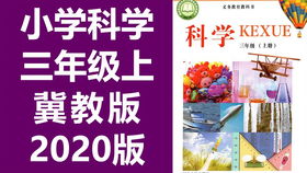 2名男子海底潜水,意外发现水下人群聚集,凑近一看赶紧上了岸