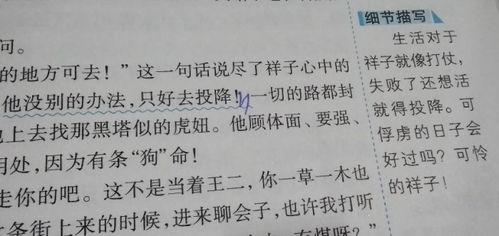 求骆驼祥子11到20章主要内容.
