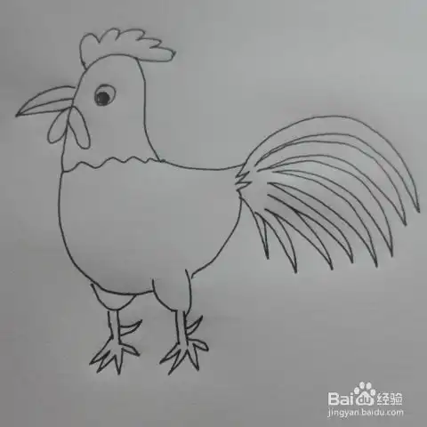 简笔画大公鸡