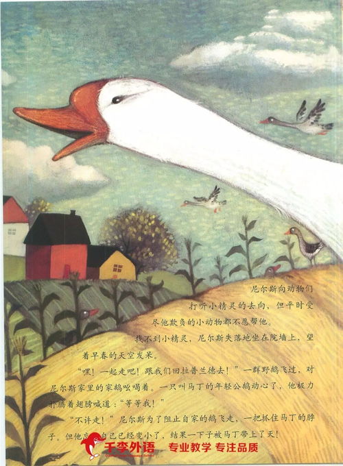 尼尔斯骑鹅旅行记thewonderfuladventuresofnils上集