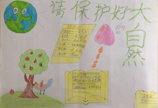 语文综合性学习手抄报展示