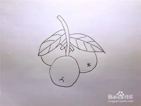 桔子怎么画简笔画