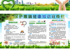 全国爱眼日保护眼睛预防近视知识宣传栏展板图片设计素材高清psd模板下载464.08mb其他展板大全