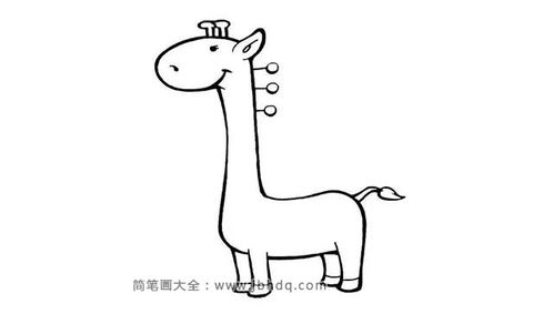 长颈鹿的画法