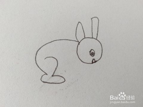 简笔画如何画一个可爱的小兔