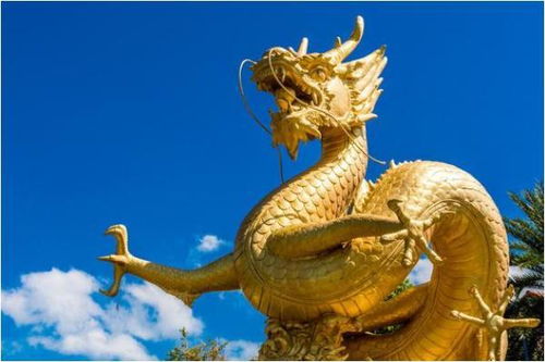 龙龙龙的晚年宿命命不是一般的好76年的好好看看