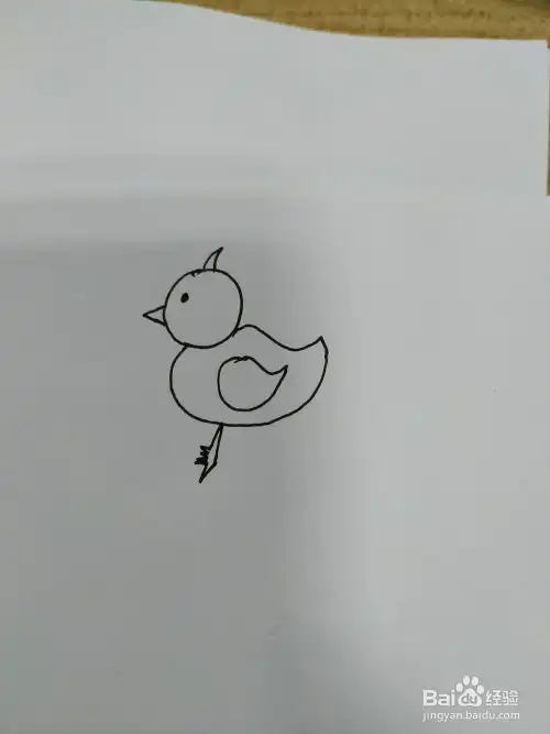 小黄鸡简笔画怎么画,怎么画小黄鸡卡通版