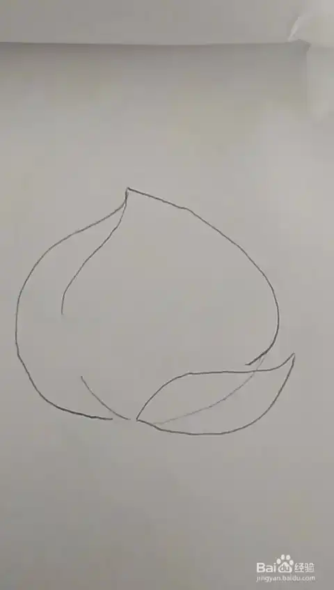 多妈简笔画水果水蜜桃