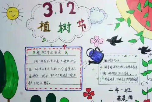 行动起来,争做护绿小使者
