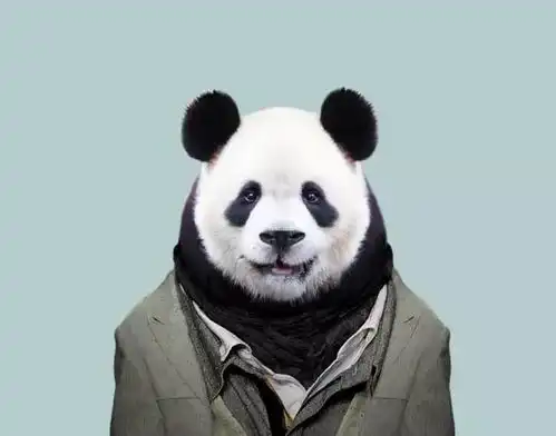 一个残酷的现实动物穿上衣服比你帅